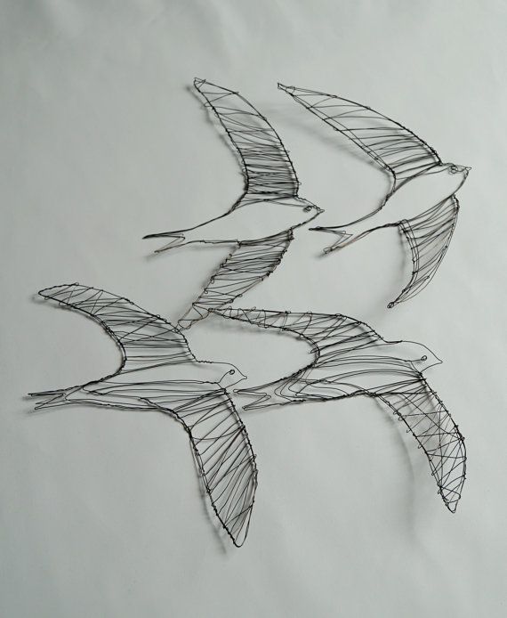 Swift Bird Drawing Photo