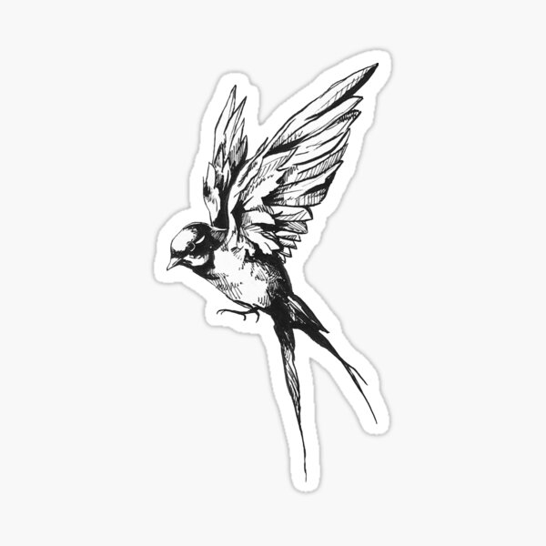 Swift Bird Drawing