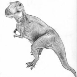 T Rex Drawing Art