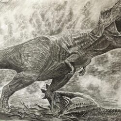 T Rex Drawing Photo