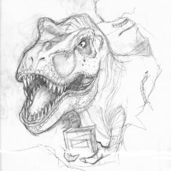 T Rex Drawing Picture