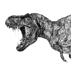 T Rex Drawing Professional Artwork