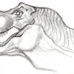 T Rex Drawing Realistic Sketch