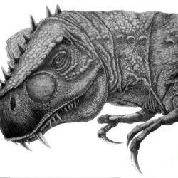 T Rex Drawing Unique Art