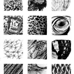 Texture Drawing Amazing Sketch