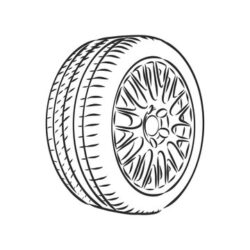 Tire Drawing Professional Artwork