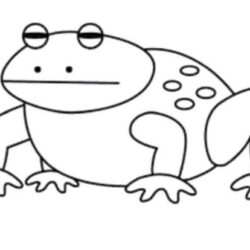 Toad Drawing Photo