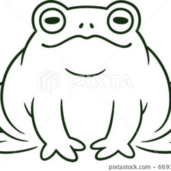 Toad Drawing Realistic Sketch