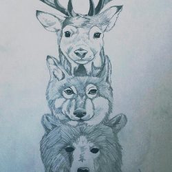 Totem Drawing Realistic Sketch