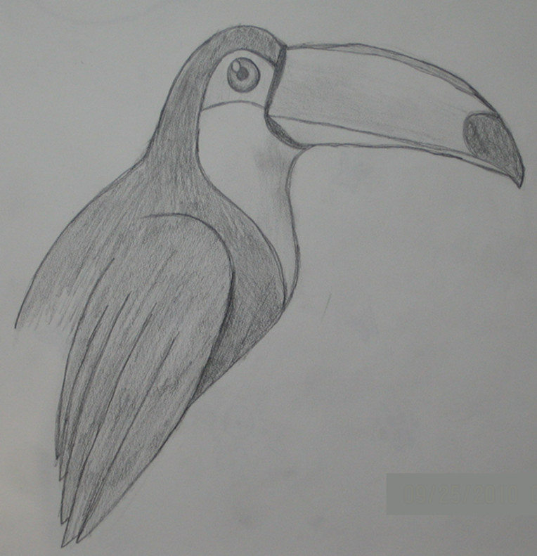 Toucan Drawing Image