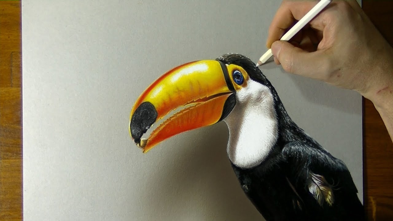 Toucan Drawing Intricate Artwork