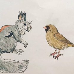 Towhee Drawing Hand drawn Sketch