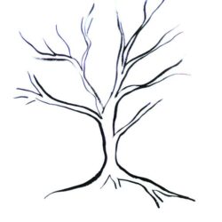 Tree Branch Drawing Stunning Sketch