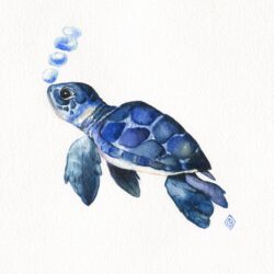 Turtle Drawing Detailed Sketch