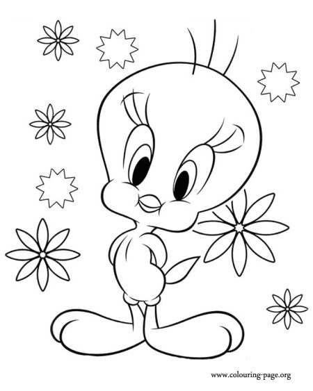 How to Draw Tweety Drawing Step by Step Guide - Drawing All