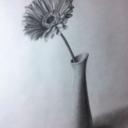 Vase Drawing Amazing Sketch