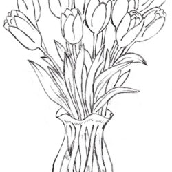 Vase Drawing Art