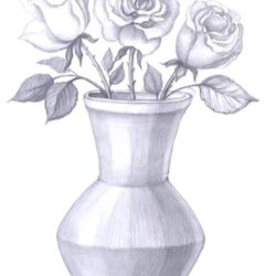 Vase Drawing Picture