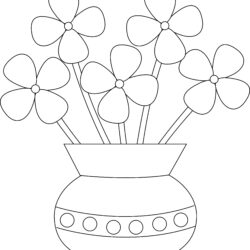 Vase Drawing Professional Artwork