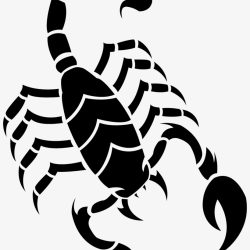 Venomous Scorpion Drawing Amazing Sketch