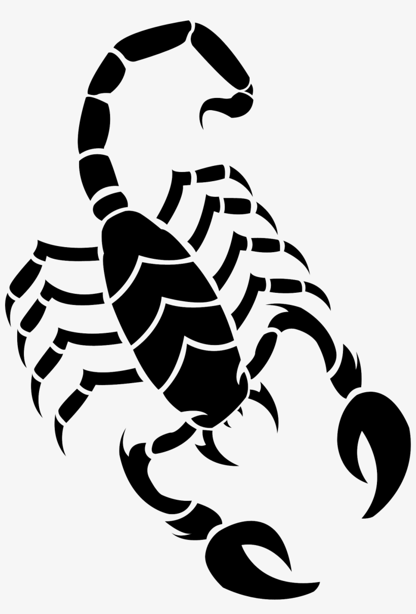 Venomous Scorpion Drawing Amazing Sketch