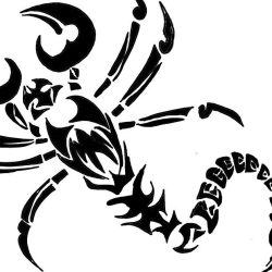 Venomous Scorpion Drawing Intricate Artwork