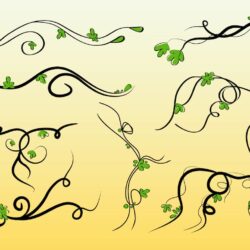 Vine Drawing Intricate Artwork