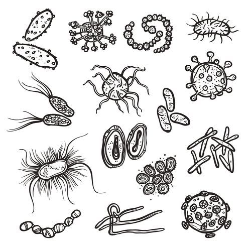 Virus Drawing Intricate Artwork