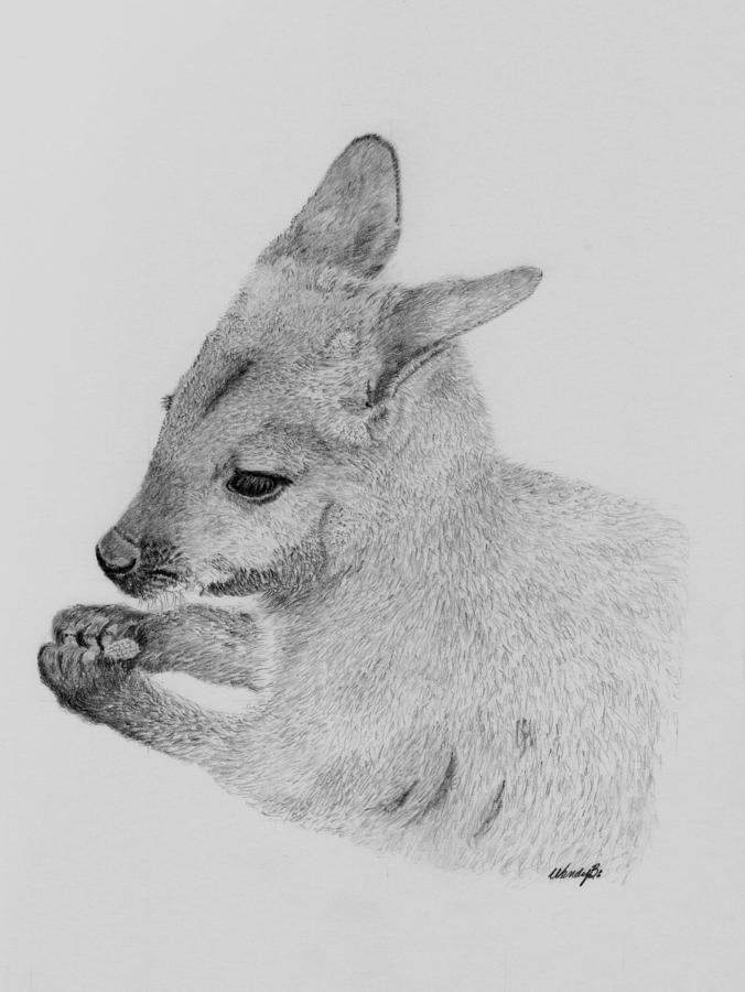 Wallaby Drawing Intricate Artwork
