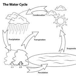 Water Cycle Drawing