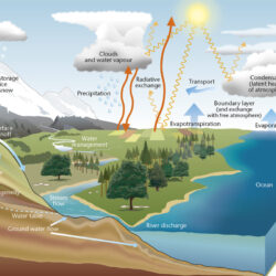 Water Cycle Drawing Art