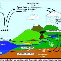 Water Cycle Drawing Hand Drawn