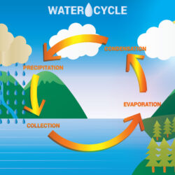 Water Cycle Drawing Hand Drawn Sketch