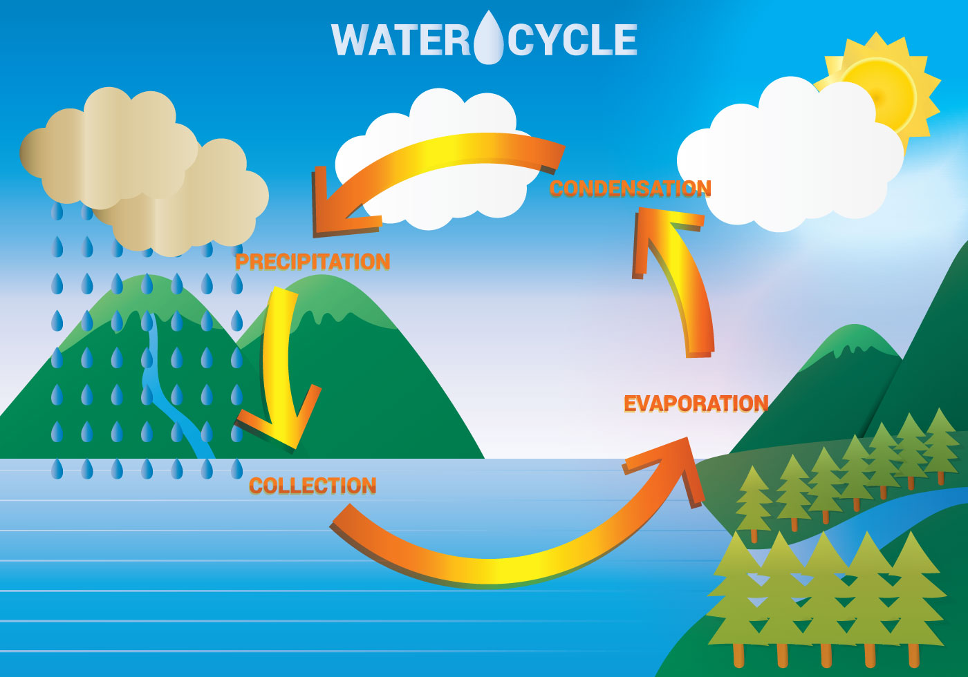 Water Cycle Drawing Hand Drawn Sketch