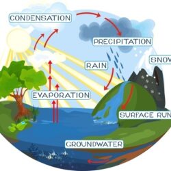 Water Cycle Drawing Intricate Artwork