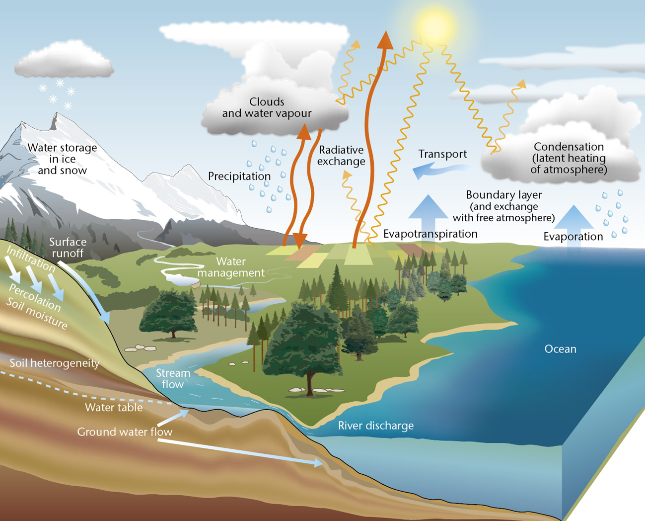 Water Cycle Drawing Realistic Sketch