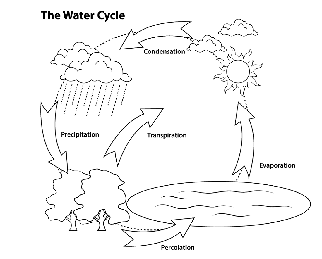 Water Cycle Drawing