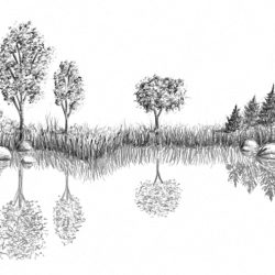 Water Drawing Hand drawn Sketch