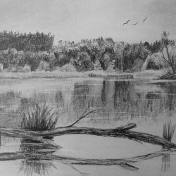 Water Drawing Intricate Artwork