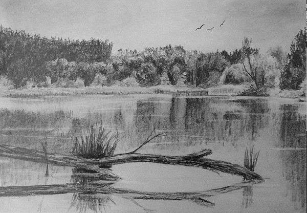 Water Drawing Intricate Artwork