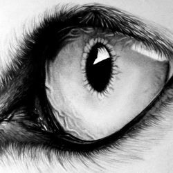 Werewolf Eyes Drawing