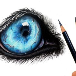 Werewolf Eyes Drawing Hand drawn