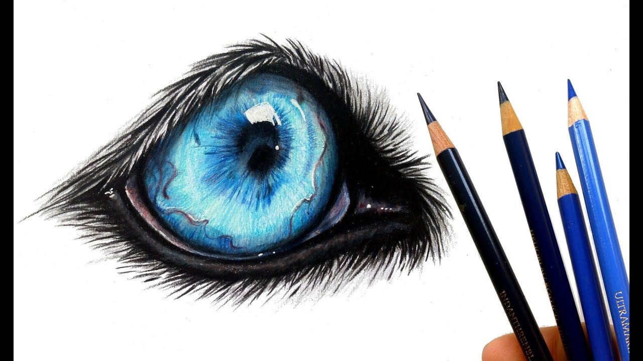 Werewolf Eyes Drawing Hand drawn