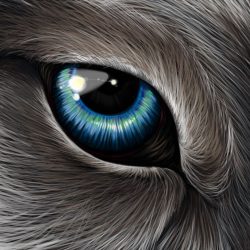 Werewolf Eyes Drawing Intricate Artwork