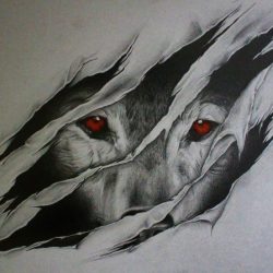 Werewolf Eyes Drawing Stunning Sketch