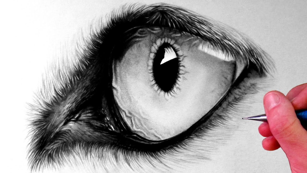 Werewolf Eyes Drawing