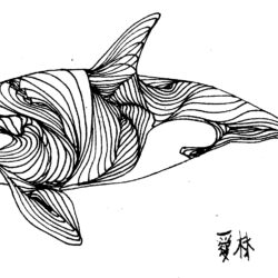 Whale Drawing Photo
