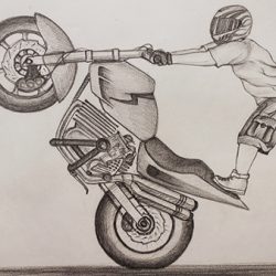 Wheelie Drawing Intricate Artwork