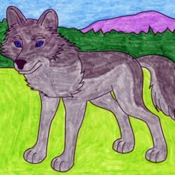 Wolf Drawing Image