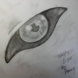 Wolf Eye Drawing Artistic Sketching